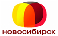 Канал домашний новосибирскому. Домашний канал. Домашний Телеканал логотип. Логотип домашний 2005. Канал регион ТВ Новосибирск.
